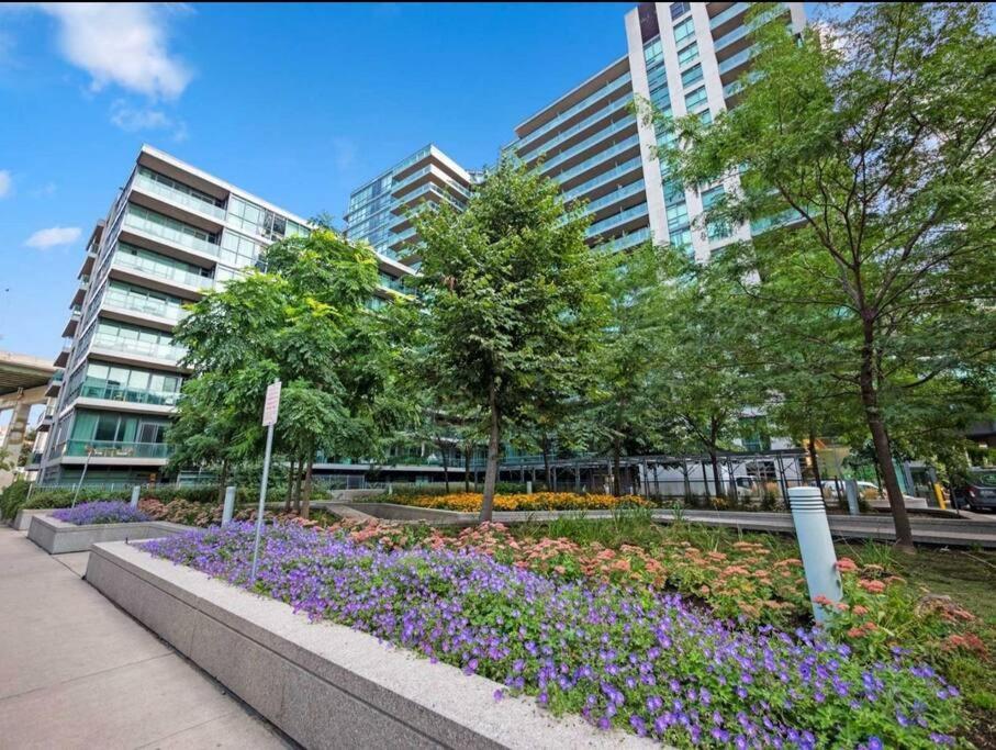 Cn Tower View With Free Parking, Pool, & More Amenities Toronto Eksteriør billede